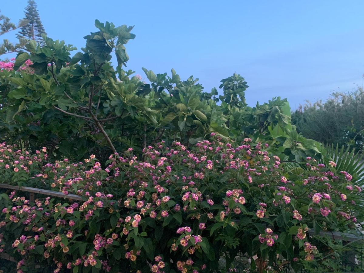 Villa Morgana مينفي المظهر الخارجي الصورة